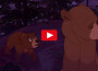 Koda Banner