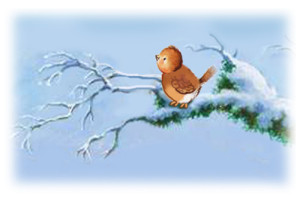 Il Natale di Cipì 1