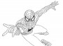 Spiderman da colorare