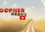 Gopher Broke