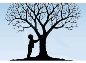 Albero dorme 2