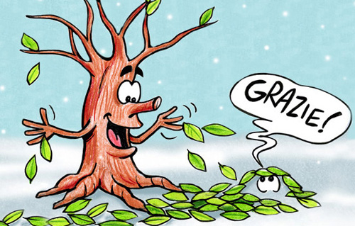 Perché gli alberi perdono le foglie | Favole e Fantasia