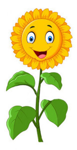 girasole