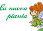 La nuova pianta_Monica Sorti 2