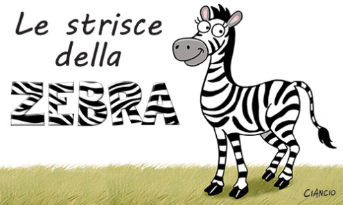Zebra_Luca Ciancio